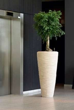 Изменяем обстановку с помощью высоких кашпо Изменяем обстановку с помощью высоких кашпо