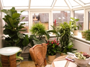 Как обустроить зимний сад на лоджии и веранде Как обустроить зимний сад на лоджии и веранде